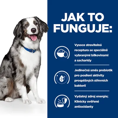 Jak to funguje: Vysoce stravitelná receptura, jedinečná směs prebiotik pro střevní bakterie, vydatný zdroj energie, klinicky ověřené antioxidanty. Pes s modrým obojkem.