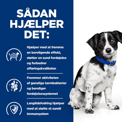 SÅDAN HJÆLPER DET: Hjælper med at fremme en beroligende effekt, støtter en sund fordøjelse og afføringskvalitet, fremmer tarmbakterier, beroliger fordøjelsen, støtter immunforsvaret.