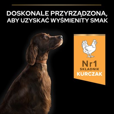 Główny składnik: kurczak. Doskonale przygotowane dla wyjątkowego smaku. Nr 1 składnik: kurczak.
