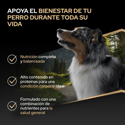 Apoya el bienestar de tu perro: alimentación completa y equilibrada, alto contenido de proteínas para una condición corporal ideal, combinación de nutrientes para la salud general.