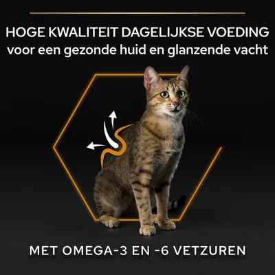 Hoge kwaliteit dagelijkse voeding voor een gezonde huid en glanzende vacht. Met omega-3 en -6 vetzuren. Tekst in beeld, kat zichtbaar.