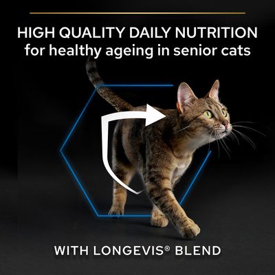 HIGH QUALITY DAILY NUTRITION for healthy ageing in senior cats. WITH LONGEVIS BLEND felirat, angol nyelvű szöveg idős macskák táplálásáról, macska képe védőpajzs szimbólummal.