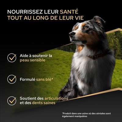 Soutient la peau sensible, formulé sans blé, favorise des articulations et des dents saines. Remarque : le produit est fabriqué dans une usine où des céréales sont également utilisées.