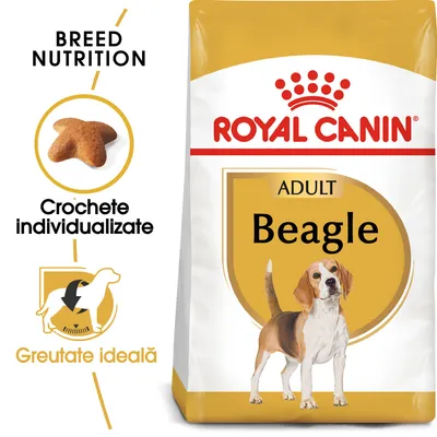 Pachet hrană uscată Royal Canin Adult Beagle, text vizibil: Crochete individualizate, Greutate ideală, imagine croșetă și siluetă câine. Pachet hrană uscată Royal Canin Adult Beagle, text vizibil: Crochete individualizate, Greutate ideală, imagine croșetă și siluetă câine.