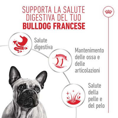 Royal Canin French Bulldog Paté - 12 x 85 g
