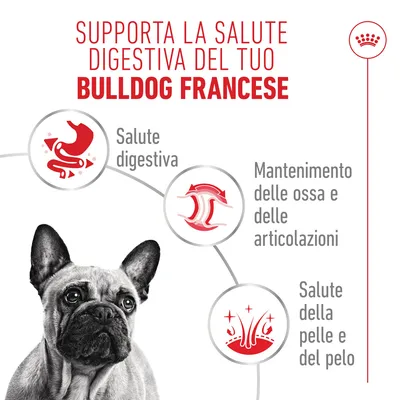 Royal Canin French Bulldog Paté - Set %: 48 x 85 g