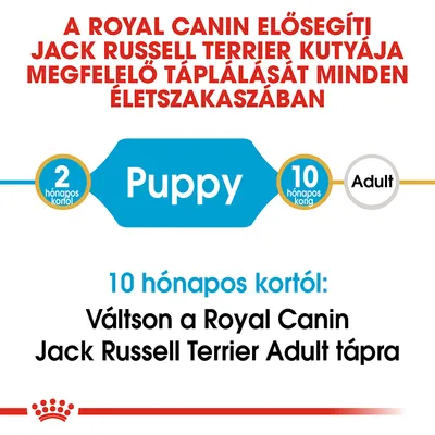 A Royal Canin elősegíti Jack Russell Terrier kutyája megfelelő táplálását minden életszakaszban. 2 hónapos kortól Puppy, 10 hónapos korig, utána Adult táp ajánlott.