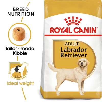 Συσκευασία Royal Canin Adult Labrador Retriever, κροκέτα με την ένδειξη Tailor-made Kibble και εικονίδιο Ideal weight. Κείμενο στα αγγλικά.