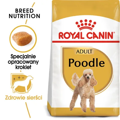 ROYAL CANIN ADULT Poodle, specjalnie opracowany krokiet, zdrowie sierści. Opakowanie karmy z wizerunkiem pudla i tekstem Breed Nutrition.