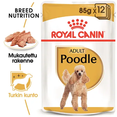 Royal Canin Adult Poodle -koiranruoka, 85 g x12. Tekstit: Breed Nutrition, Mukautettu rakenne, Turkin kunto. Kuvassa annos ruokaa ja villakoira.