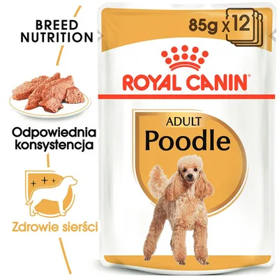 ROYAL CANIN ADULT Poodle 85 g x12, odpowiednia konsystencja, zdrowie sierści, karma dla pudli dorosłych. Widoczny wizerunek psa rasy pudel.