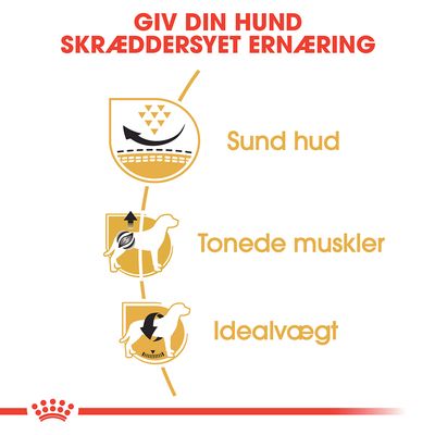GIV DIN HUND SKRÆDDERSYET ERNÆRING. Sund hud, Tonede muskler, Idealvægt. Tre ikoner med hund og grafiske elementer ved siden af teksten.
