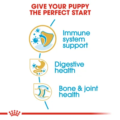 Royal Canin Bulldog Puppy - 12 kg