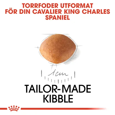 Text: Torrfoder utformat för din Cavalier King Charles Spaniel. Bild på ett torrfoder, diameter 1 cm. Text: Tailor-made kibble.