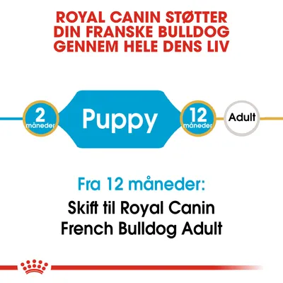 Royal Canin støtter din franske bulldog gennem hele dens liv. Fra 12 måneder: Skift til Royal Canin French Bulldog Adult. Puppy fra 2–12 måneder.