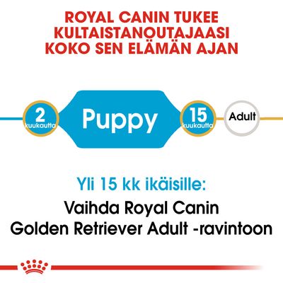 Royal Canin tukee kultaisennoutajasi koko elämän ajan. 2–15 kuukautta Puppy, yli 15 kk: vaihda Royal Canin Golden Retriever Adult -ravintoon.