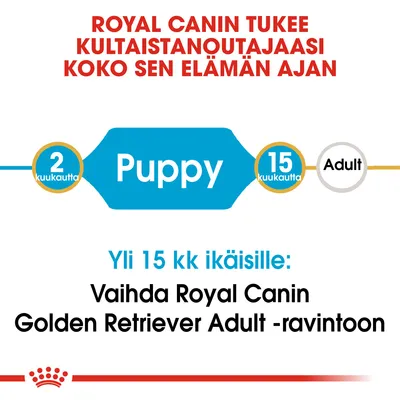 Royal Canin tukee kultaisennoutajasi koko elämän ajan. 2–15 kuukautta Puppy, yli 15 kk: vaihda Royal Canin Golden Retriever Adult -ravintoon.