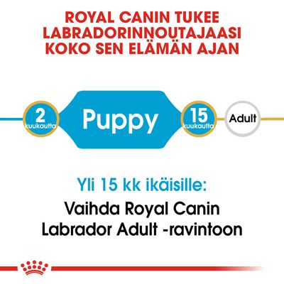 Royal Canin tukee labradorinnoutajaasi koko elämän ajan. 2–15 kuukautta: Puppy. Yli 15 kk ikäisille: Vaihda Royal Canin Labrador Adult -ravintoon.