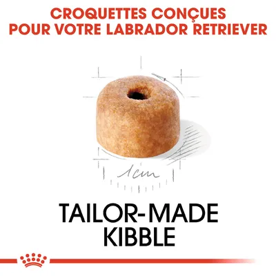 Croquettes conçues pour votre Labrador Retriever, croquette ronde d’environ 1 cm, texte en anglais : Tailor-made kibble.