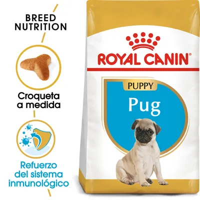 ROYAL CANIN Puppy Pug, croqueta a medida, refuerzo del sistema inmunológico. Imagen de pienso para cachorros de raza pug con foto de un cachorro en el envase.