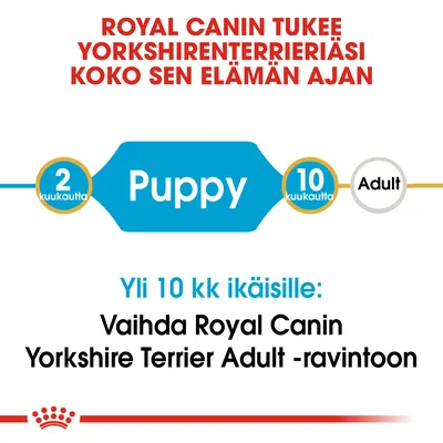 ROYAL CANIN tukee yorkshirenterrieriäsi koko elämän ajan. Puppy 2–10 kuukautta. Yli 10 kk ikäisille: Vaihda Royal Canin Yorkshire Terrier Adult -ravintoon.