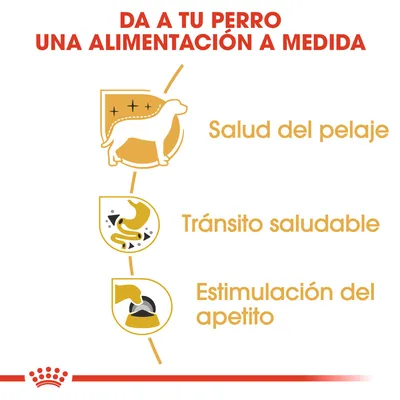 Da a tu perro una alimentación a medida. Salud del pelaje, tránsito saludable, estimulación del apetito.