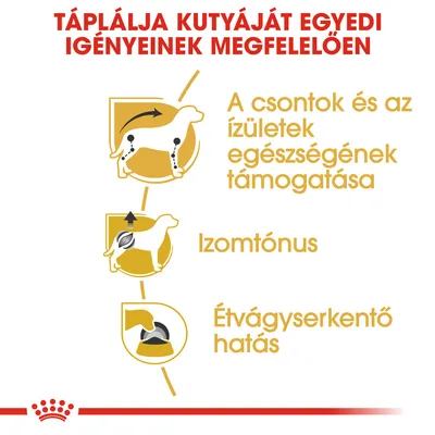 Táplálja kutyáját egyedi igényeinek megfelelően: a csontok és ízületek egészségének támogatása, izomtónus, étvágyserkentő hatás.