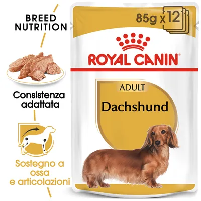 ROYAL CANIN ADULT Dachshund 85g x12, consistenza adattata, sostegno a ossa e articolazioni, immagine di cibo umido e bassotto su confezione.