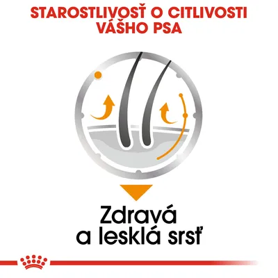 Starostlivosť o citlivosť vášho psa. Zdravá a lesklá srsť.