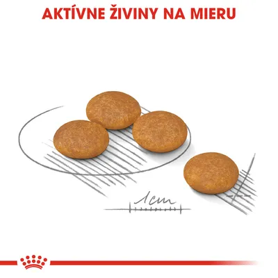 Štyri okrúhle granule s priemerom približne 1 cm, nad nimi červený text: AKTÍVNE ŽIVINY NA MIERU. Ilustrácia veľkosti pod granulami.
