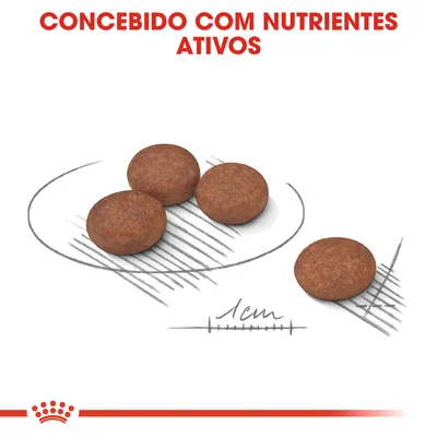 Quatro croquetes redondos de ração, diâmetro aproximado de 1 cm. Texto visível: 'Concebido com nutrientes ativos'.