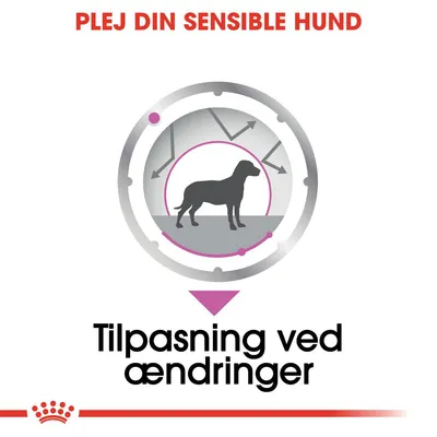 PLEJ DIN SENSIBLE HUND. Silhuet af hund med pile omkring. Tekst: Tilpasning ved ændringer.