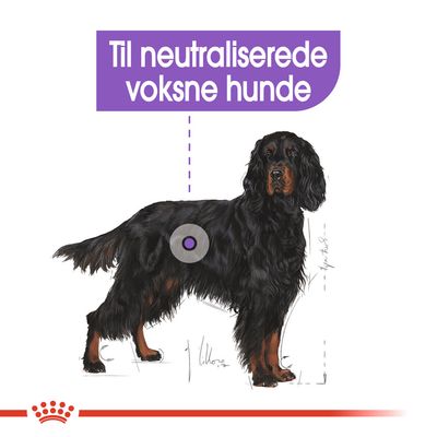 Illustration af sort hund med teksten: Til neutraliserede voksne hunde