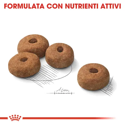 Quattro crocchette rotonde con foro centrale, diametro indicato di 1 cm. In alto testo: FORMULATA CON NUTRIENTI ATTIVI.
