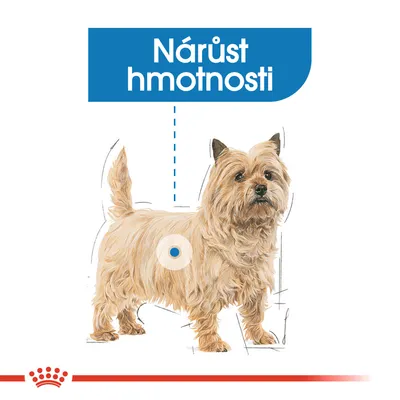 Pes s textem „Nárůst hmotnosti“ v modrém poli nad ním. Ilustrace zvýrazňuje oblast břicha psa.