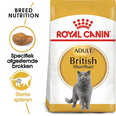 Royal Canin Adult British Shorthair kattenvoer, afbeelding van grijze kat, tekst: Specifiek afgestemde brokken, Sterke spieren, BREED NUTRITION.
