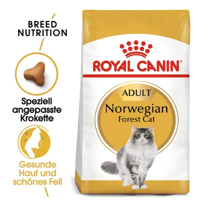 Royal Canin Adult Norwegian Forest Cat. Speziell angepasste Krokette. Gesunde Haut und schönes Fell.
