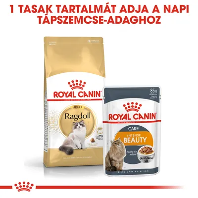 Royal Canin Ragdoll Adult száraztáp és Royal Canin Intense Beauty Care 85 g alutasakos eledel, felül: 1 tasak tartalmát adja a napi tápszemcse-adaghoz