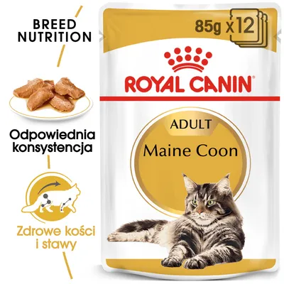 ROYAL CANIN ADULT Maine Coon, 85 g x12. Odpowiednia konsystencja. Zdrowe kości i stawy. Opakowanie z wizerunkiem kota rasy Maine Coon.