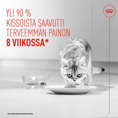 Yli 90 % kissoista saavutti terveellisemmän painon 8 viikossa. Viittaus Royal Caninin sisäiseen tutkimukseen.