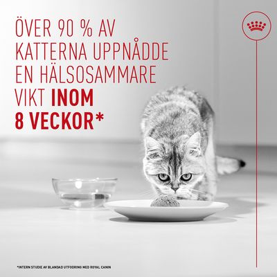 Över 90 % av katterna uppnådde en hälsosammare vikt inom 8 veckor. Intern studie med Royal Canin.