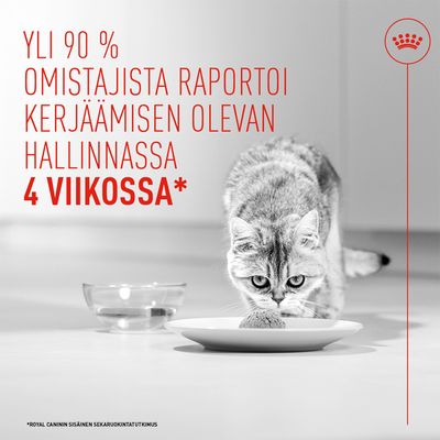 Yli 90 % omistajista kertoo, että kerjääminen on hallinnassa 4 viikon jälkeen. Viittaus Royal Caninin sisäiseen tutkimukseen.