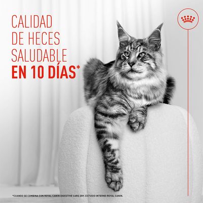 Royal Canin Digestive Care AirLift Mousse