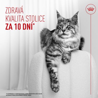 Royal Canin Digestive Care AirLift Mousse