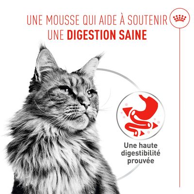 Royal Canin Digestive Care AirLift Mousse - 12 x 85 g