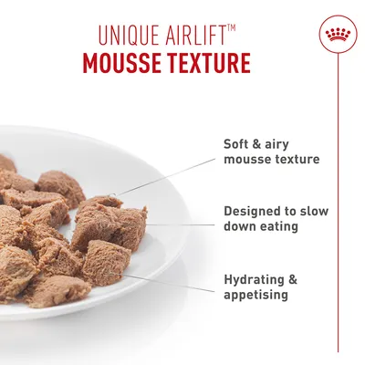 Royal Canin Digestive Care AirLift Mousse Økonomipakke: 24 x 85 g