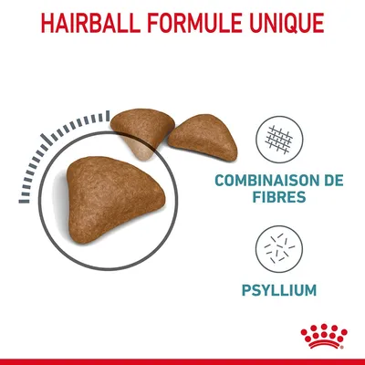 Texte visible : HAIRBALL FORMULE UNIQUE, combinaison de fibres, psyllium. Trois croquettes triangulaires en gros plan, logo Royal Canin en bas à droite.