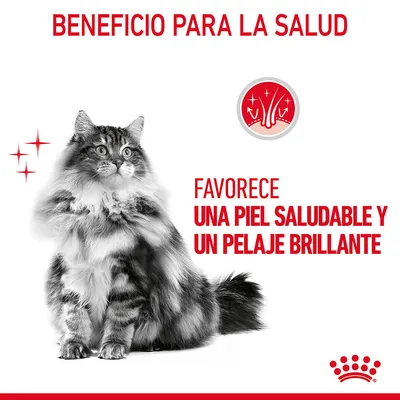 Beneficio para la salud: favorece una piel saludable y un pelaje brillante. Imagen de gato con texto destacado en rojo y símbolo de brillo.