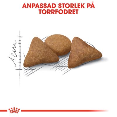 Anpassad storlek på torrfodret. Tre bitar torrfoder, två trekantiga och en rund, visas med skissad linjal som markerar cirka 1 cm.