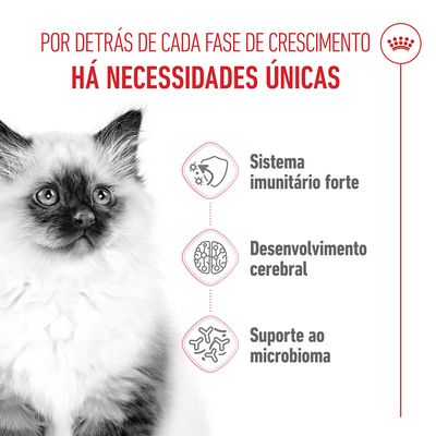 Royal Canin Kitten
